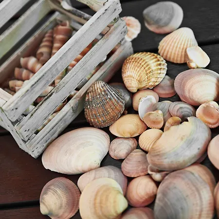 Rosengaarden Hostel *