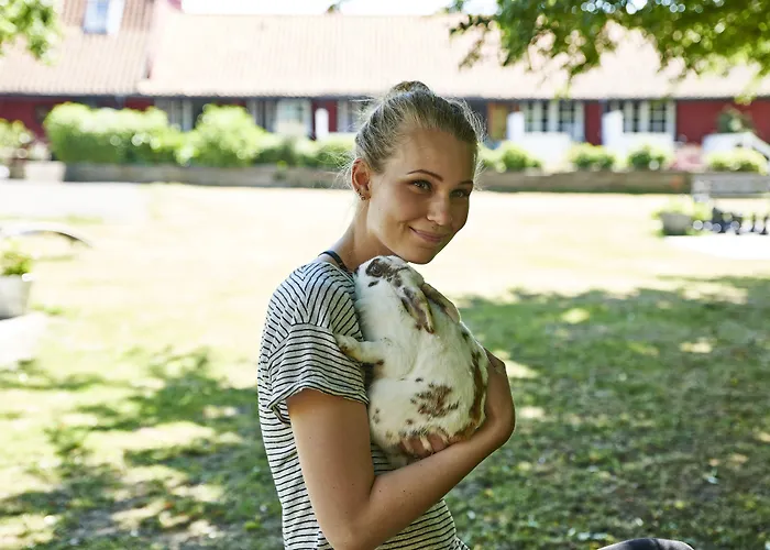 Auberge de jeunesse Rosengaarden