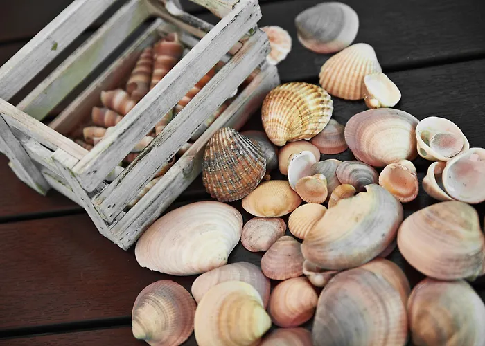 Rosengaarden Auberge de jeunesse *