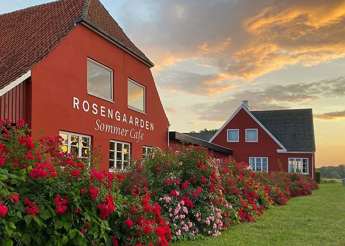 Auberge de jeunesse Rosengaarden *